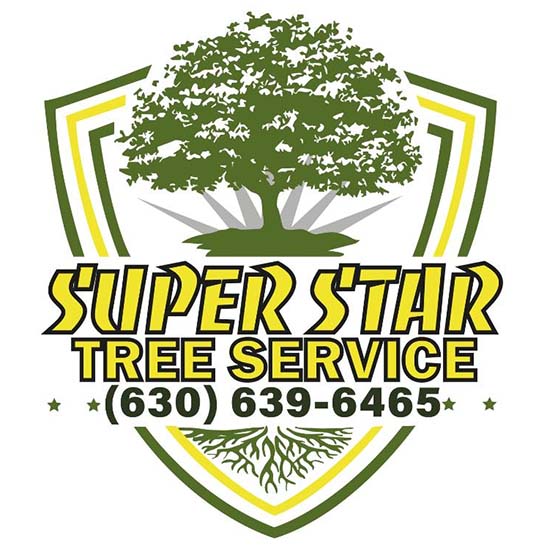 Super Star Tree Service Inc, Logo