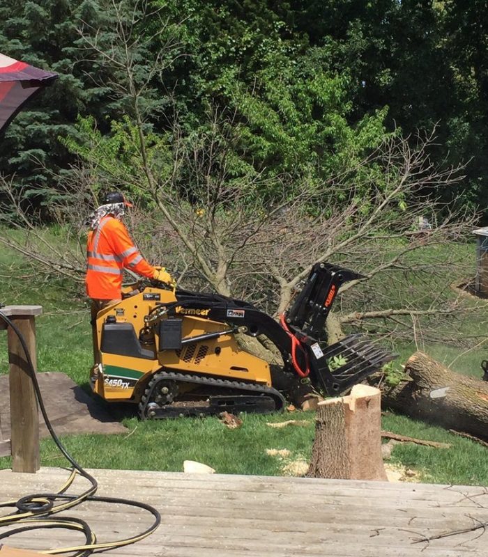 A man operates a small machine to cut down a tree in a forested area