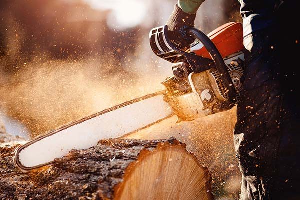 A person using a chainsaw to cut down a tree